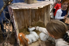 Krippenlegung22_12