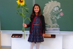 1a_Sonnenblume_1819_03
