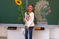 1a_Sonnenblume_1819_04