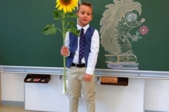 1a_Sonnenblume_1819_06