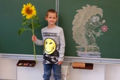 1a_Sonnenblume_1819_07