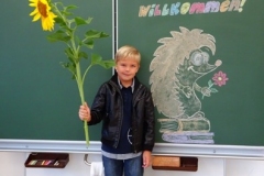 1a_Sonnenblume_1819_10