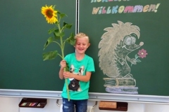 1a_Sonnenblume_1819_11