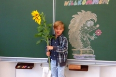 1a_Sonnenblume_1819_13