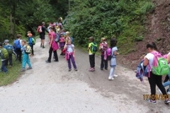 Wandertag-Stallhäusl-2a-und-2b-September-2015-24